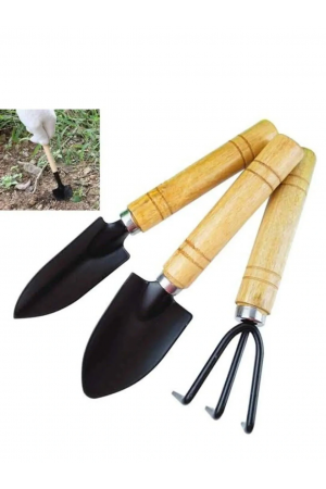 3 Parça Bitki Hobi Seti - Bahçe Saksı Sukulent Bakım Çapa-tırmą 3 Parça Bitki Hobi Seti - Bahçe Saksı Sukulent Bakım Çapa-tırmą