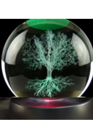 Ağaç Plastik Altlıklı Cam Küre…