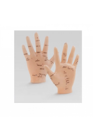 Akupunktur El Maketi… Akupunktur El Maketi…