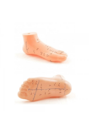 Ayak Akupunktur Bölgesi Maketi&hellip;