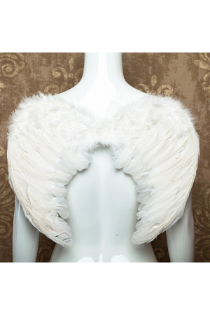 Beyaz Renkli Orta Boy Çocuk Melek Kanadı 30x45 Cm… Beyaz Renkli Orta Boy Çocuk Melek Kanadı 30x45 Cm…