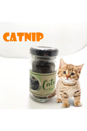 Catnip Doğal Kedi Otu - Kedi Nanesi… Catnip Doğal Kedi Otu - Kedi Nanesi…