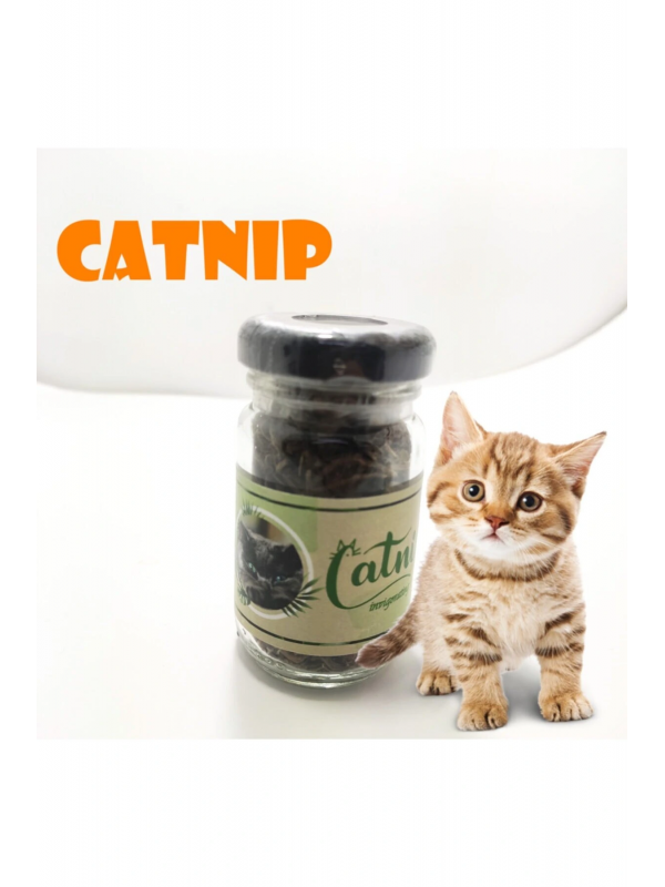 Catnip Doğal Kedi Otu - Kedi Nanesi&hellip;
