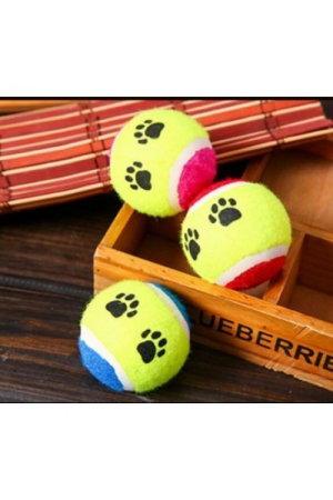 At Getir Köpek Eğitim Topu…