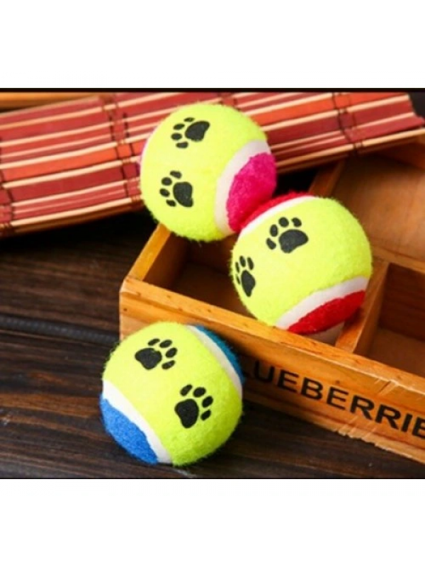 At Getir Köpek Eğitim Topu&hellip;