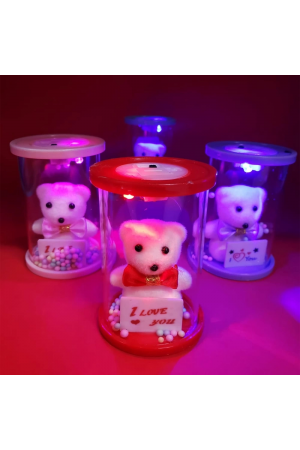 Işıklı Cam Fanus İçinde Ayıcık…