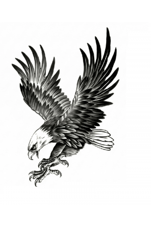 Kartal Geçici Dövme Şablonu Büyük Boy&hellip;