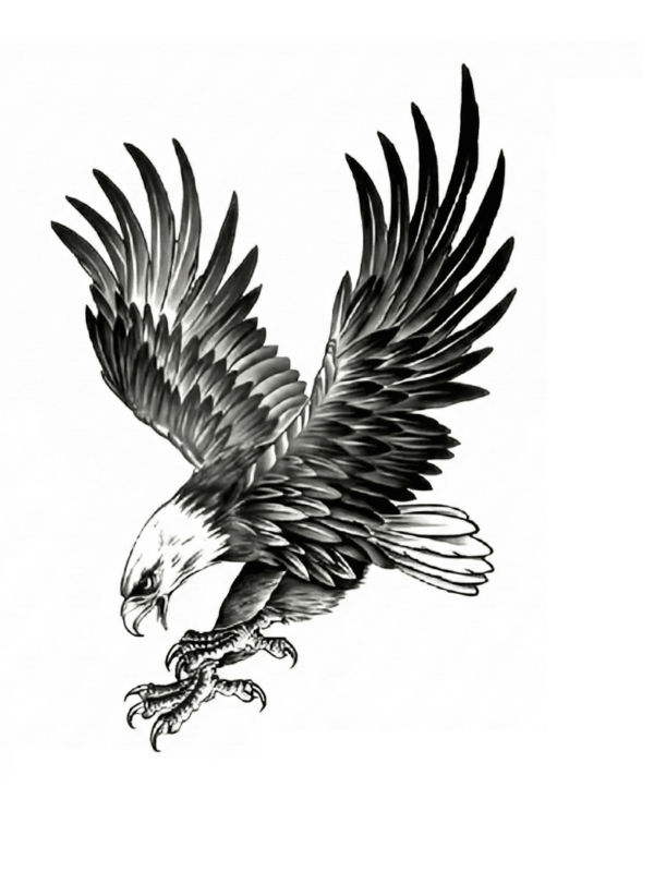 Kartal Geçici Dövme Şablonu Büyük Boy… Kartal Geçici Dövme Şablonu Büyük Boy…
