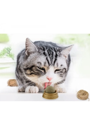 Kedi Nanesi Oyun Topu…