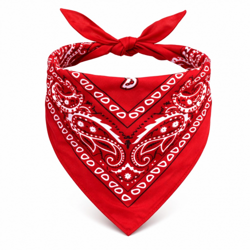 Kırmızı Kovboy Fuları Çocuk Bandana Western Desenli Boyun Fuları Kırmızı Kovboy Fuları Çocuk Bandana Western Desenli Boyun Fuları