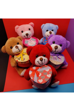 Kutulu Ayıcık… Kutulu Ayıcık…