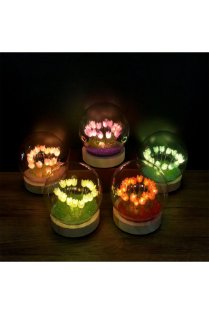 Led Işıklı Lale Cam Fanus&hellip;