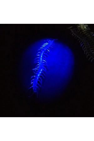 Şeffaf Renk Karanlıkta Parlayan Fosforlu Kırkayak 13 Cm 1 Adet&hellip;