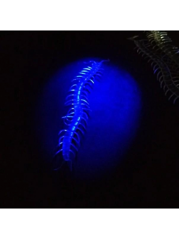 Şeffaf Renk Karanlıkta Parlayan Fosforlu Kırkayak 13 Cm 1 Adet&hellip;