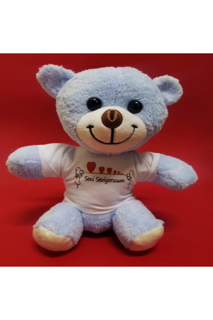 Seni Seviyorum Ayı&hellip;