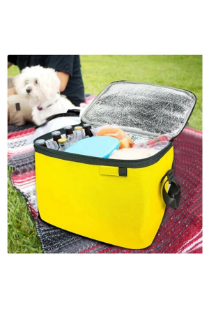 Termos Çanta - Piknik Çantası Buz Aküsü Hediyeli 40lt&hellip;