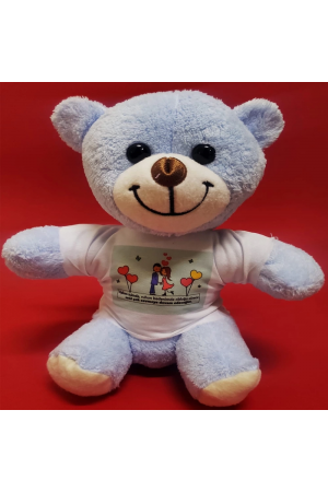 Tişörtlü Mavi Ayı&hellip;