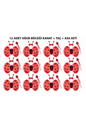 Uğur Böceği Kostüm Seti - Kanat Taç Asa 3 Parça 12 Adet… Uğur Böceği Kostüm Seti - Kanat Taç Asa 3 Parça 12 Adet…