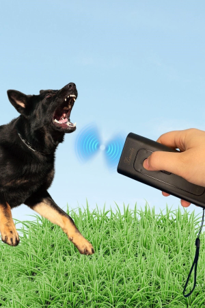 Ultrasonik Zarar Vermeyen Köpek Uzaklaştırıcı Ve Eğitici Cihaz…