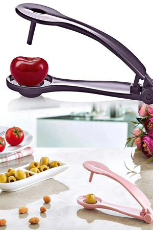 Zeytin Çekirdeği Çıkartma Aparatı&hellip;