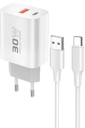 LRZ02 C89Q 1 Adet 30W Type-C ve 1 Adet 22.5W USB Ç