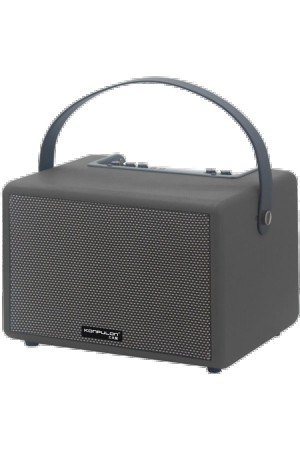 LRZ02 F31 50W Sürücülü 2 Adet Mikrofonlu BT 5.2 Kablosuz Hoparlör - S…