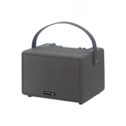 LRZ02 F31 50W Sürücülü 2 Adet Mikrofonlu BT 5.2 Kablosuz Hoparlör - Siyah