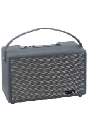 LRZ02 F32 2x50W Sürücülü 2 Adet Mikrofonlu BT 5.2 Kablosuz Hoparlör -…