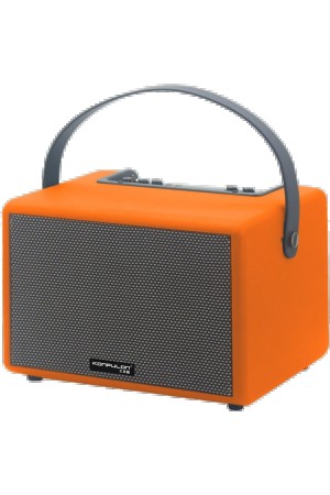 LRZ02 F31 50W Sürücülü 2 Adet Mikrofonlu BT 5.2 Kablosuz Hoparlör - T…