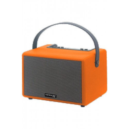 LRZ02 F31 50W Sürücülü 2 Adet Mikrofonlu BT 5.2 Kablosuz Hoparlör - Turuncu