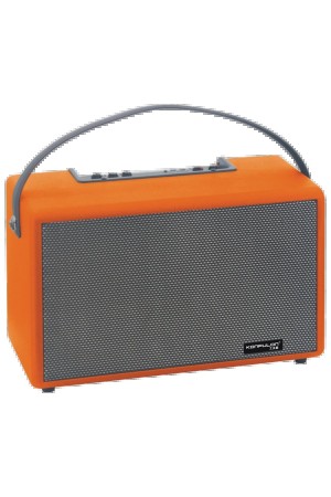 LRZ02 F32 2x50W Sürücülü 2 Adet Mikrofonlu BT 5.2 Kablos