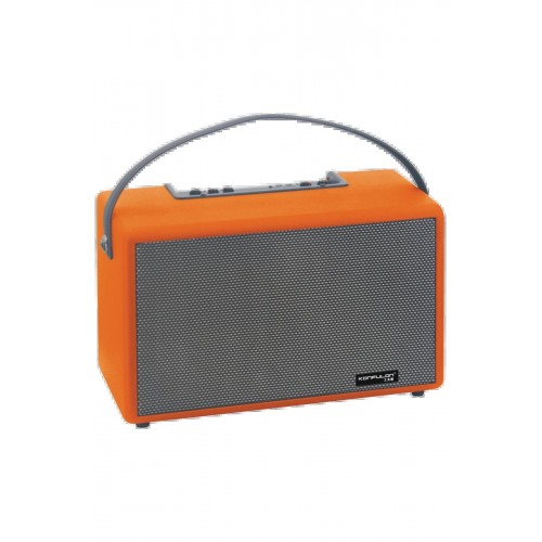 LRZ02 F32 2x50W Sürücülü 2 Adet Mikrofonlu BT 5.2 Kablosuz Hoparlör - Turuncu