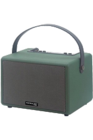 LRZ02 F31 50W Sürücülü 2 Adet Mikrofonlu BT 5.2 Kablosuz