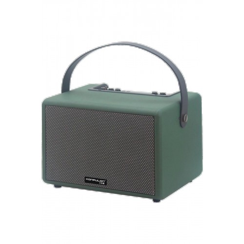 LRZ02 F31 50W Sürücülü 2 Adet Mikrofonlu BT 5.2 Kablosuz Hoparlör - Yeşil