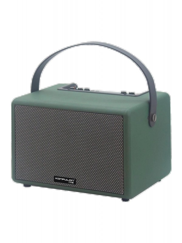 LRZ02 F31 50W Sürücülü 2 Adet Mikrofonlu BT 5.2 Kablosuz Hoparlör - Y&hellip;