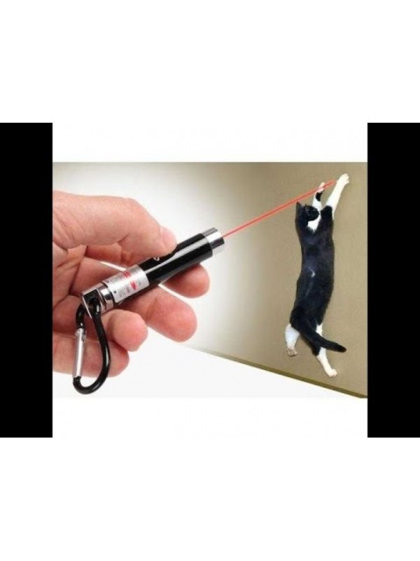 4 Yedek Başlıklı Pilli Kedi Oyuncağı Lazer Anahtarlık&hellip;