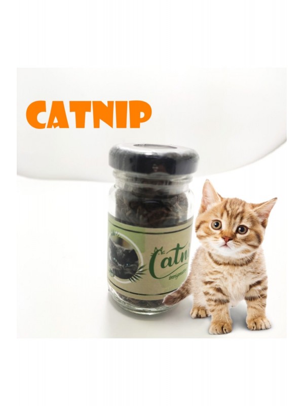 Catnip Doğal Kedi Otu - Kedi Nanesi&hellip;
