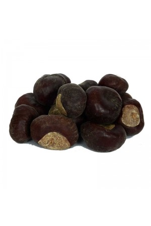 At Kestanesi Meyvesi Doğal 1000 Gr Paket… At Kestanesi Meyvesi Doğal 1000 Gr Paket…