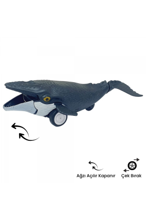 Sürtmeli Hayvanlar Serisi - H-53 - Balina&hellip;