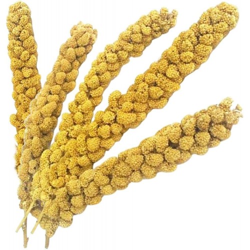 Vitaking Kuşlar İçin Doğal Sarı Dal Darı 100 gr