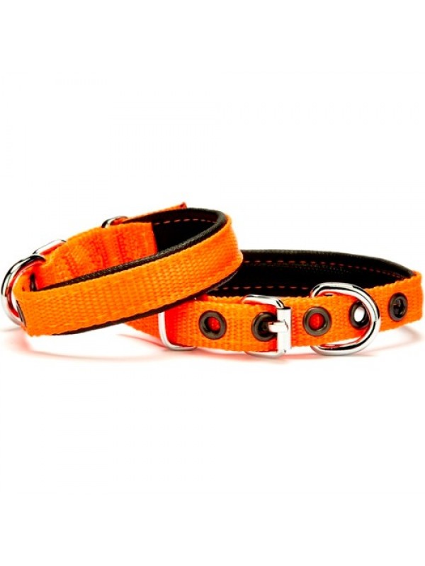 Softlu Köpek Boyun Tasması 1,5 cm x 30 cm Tcu&hellip;